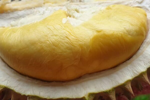 greenacres2 greenacres2