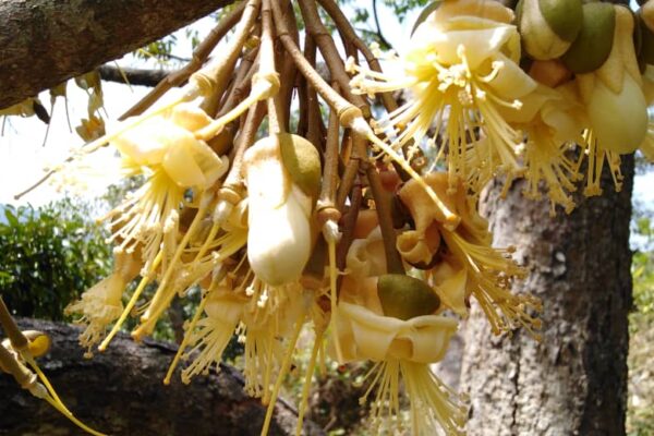 greenacres4 greenacres4